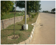 grass cutting