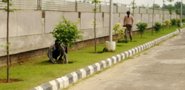 Janpat Estate