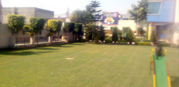 Rising Star School