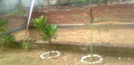 Sidhi Vinayak Mandhir