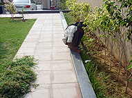 Sukhmani Park