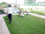 Sukhmani Park
