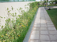 Sukhmani Park