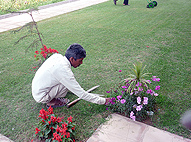 Sukhmani Park