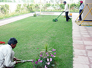 Sukhmani Park
